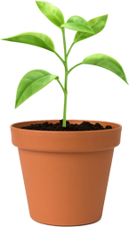 potted-plant_145x254